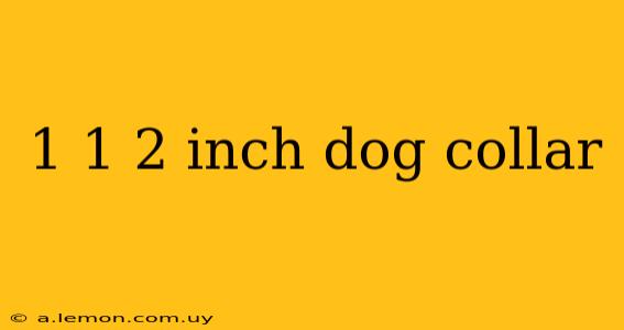 1 1 2 inch dog collar