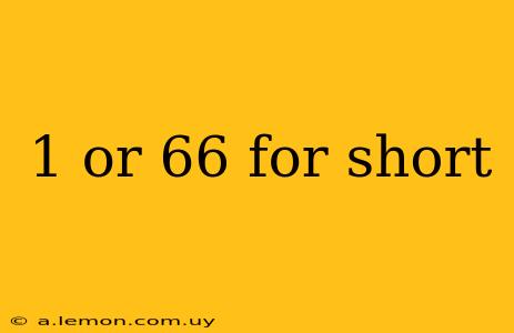 1 or 66 for short