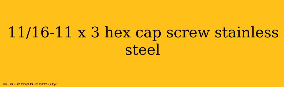 11/16-11 x 3 hex cap screw stainless steel