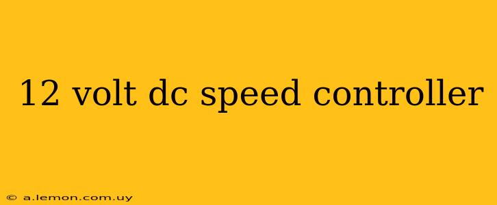 12 volt dc speed controller