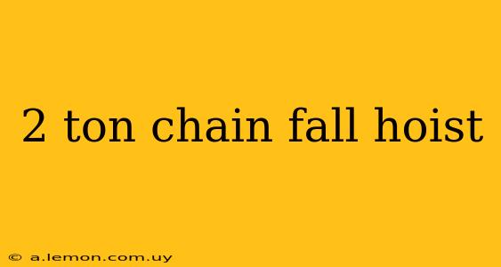 2 ton chain fall hoist