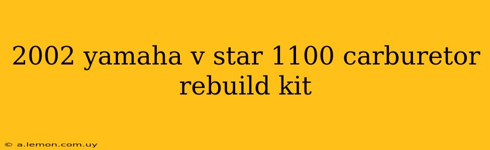 2002 yamaha v star 1100 carburetor rebuild kit