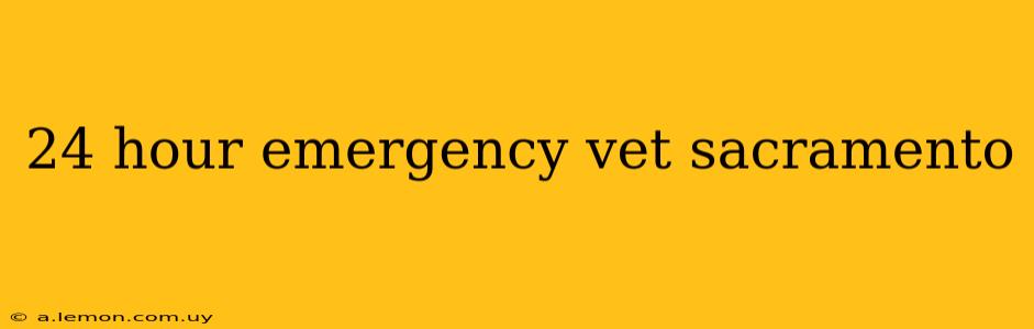 24 hour emergency vet sacramento