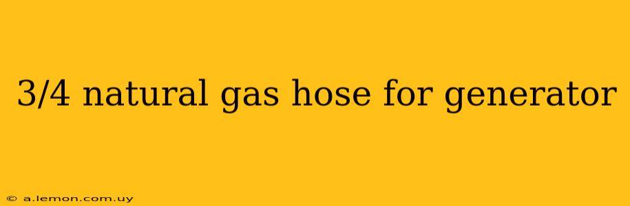 3/4 natural gas hose for generator