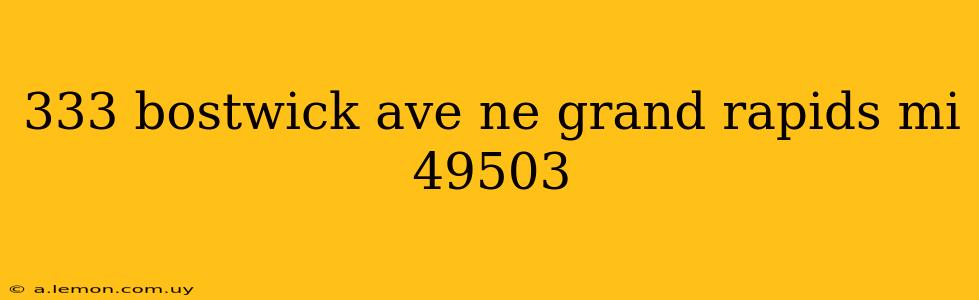 333 bostwick ave ne grand rapids mi 49503