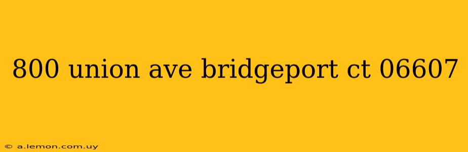 800 union ave bridgeport ct 06607