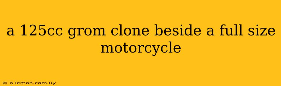 a 125cc grom clone beside a full size motorcycle