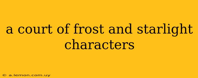 a court of frost and starlight characters