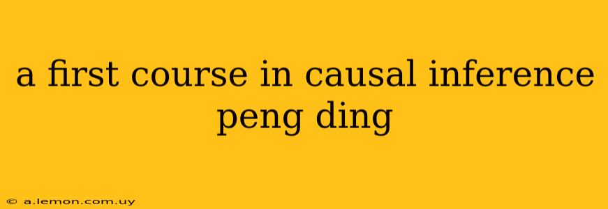 a first course in causal inference peng ding