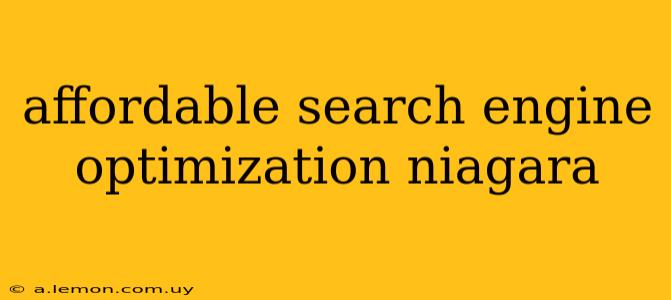 affordable search engine optimization niagara