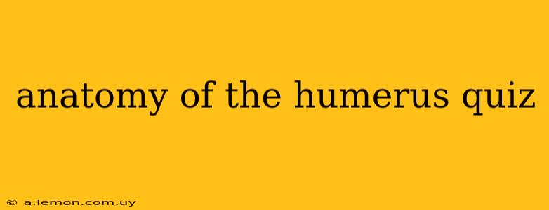 anatomy of the humerus quiz