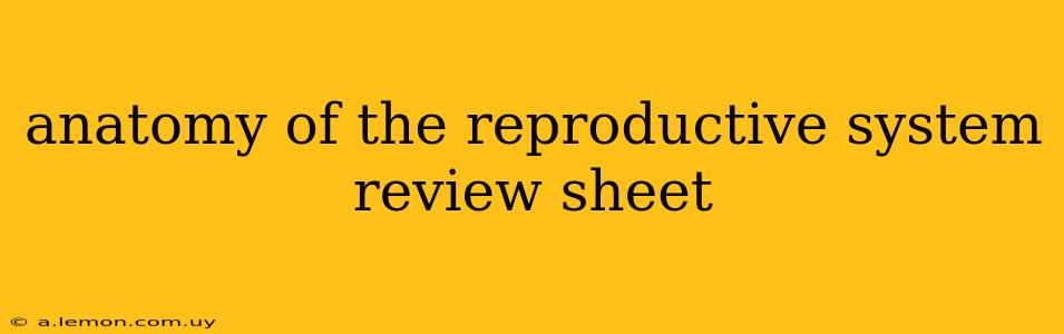 anatomy of the reproductive system review sheet