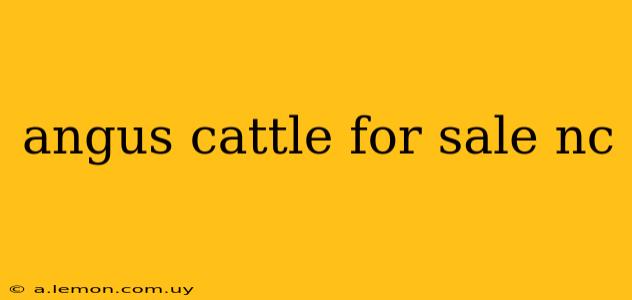 angus cattle for sale nc