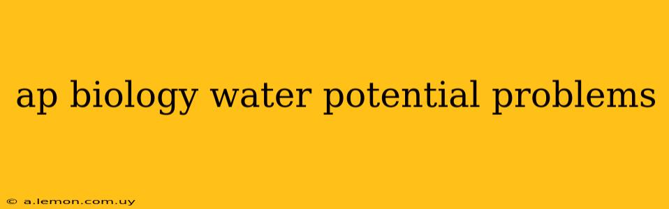 ap biology water potential problems