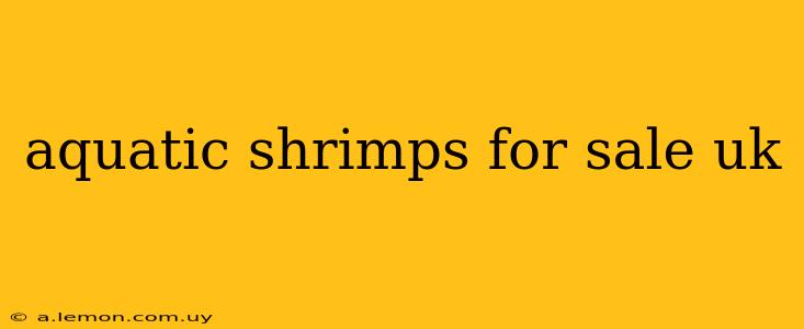 aquatic shrimps for sale uk