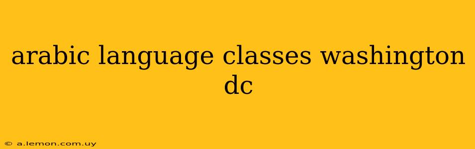 arabic language classes washington dc