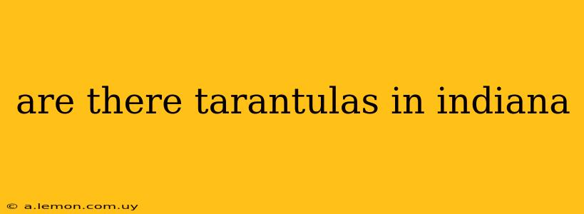 are there tarantulas in indiana