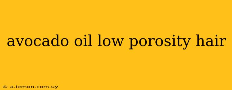 avocado oil low porosity hair