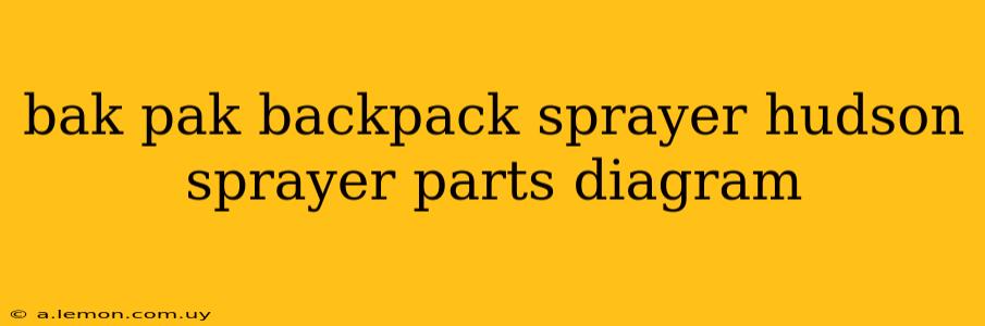 bak pak backpack sprayer hudson sprayer parts diagram