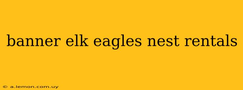 banner elk eagles nest rentals