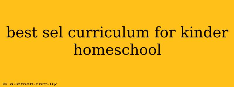 best sel curriculum for kinder homeschool