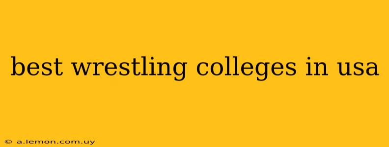 best wrestling colleges in usa