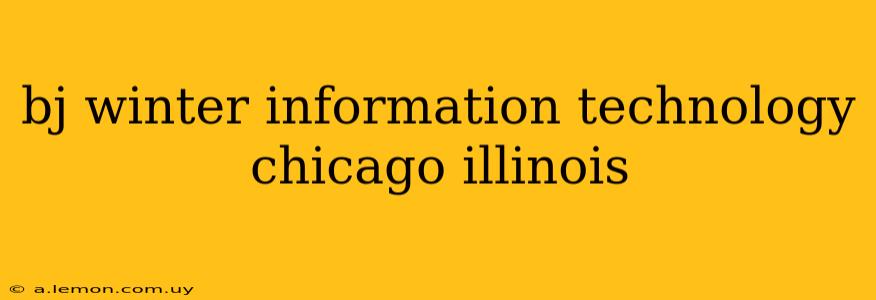 bj winter information technology chicago illinois