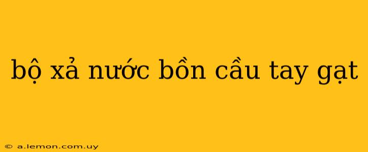 bộ xả nước bồn cầu tay gạt