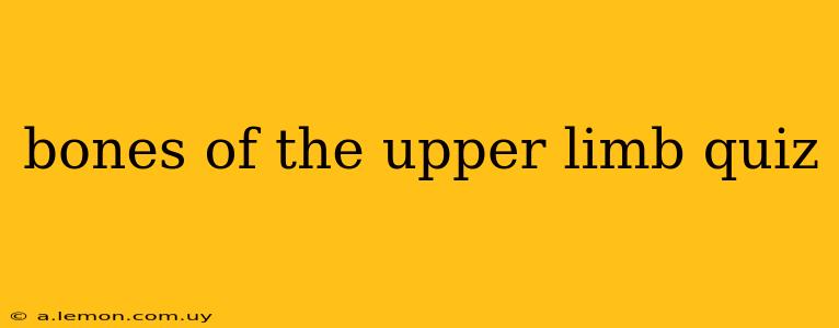 bones of the upper limb quiz