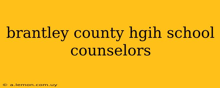 brantley county hgih school counselors