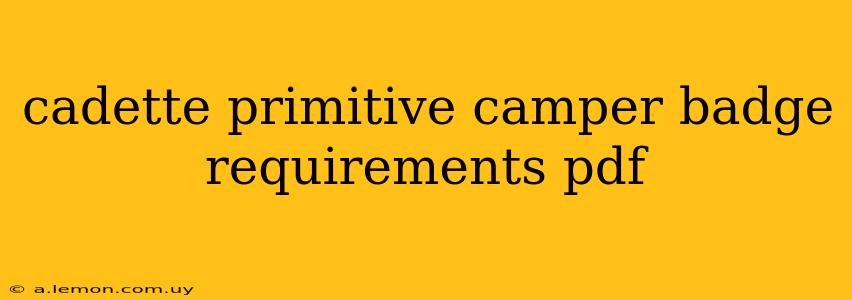 cadette primitive camper badge requirements pdf