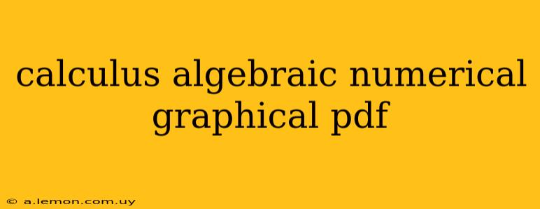 calculus algebraic numerical graphical pdf