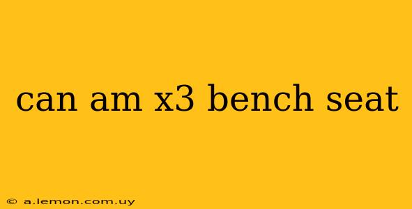 can am x3 bench seat