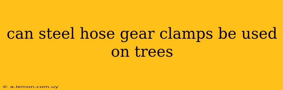 can steel hose gear clamps be used on trees