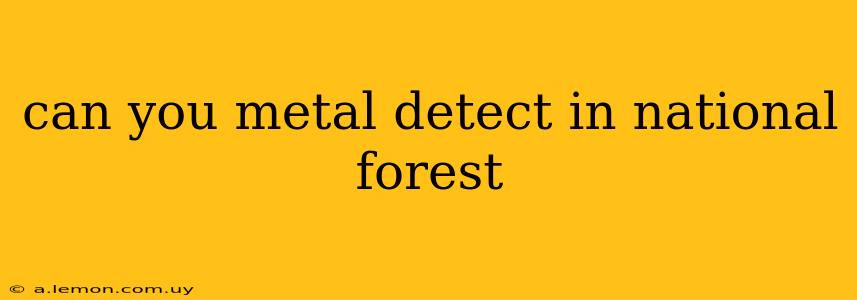 can you metal detect in national forest