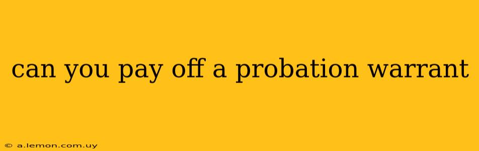 can you pay off a probation warrant