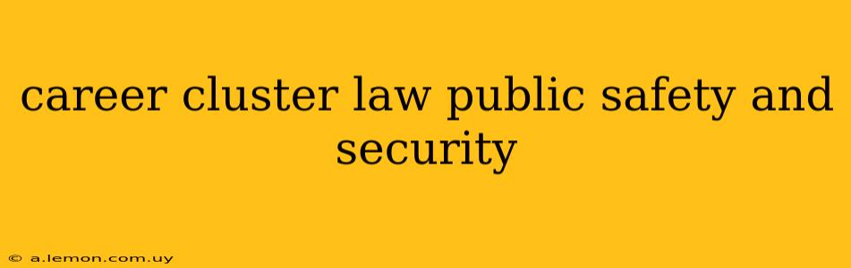 career cluster law public safety and security