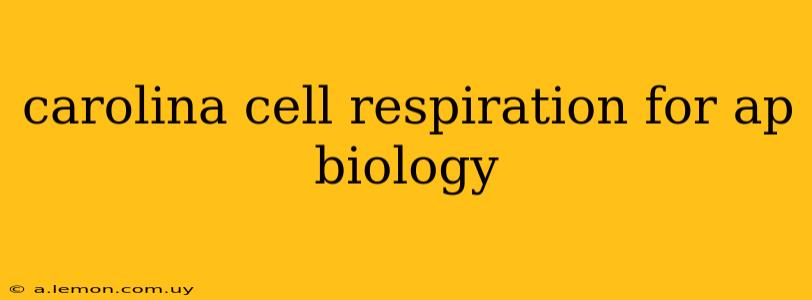 carolina cell respiration for ap biology