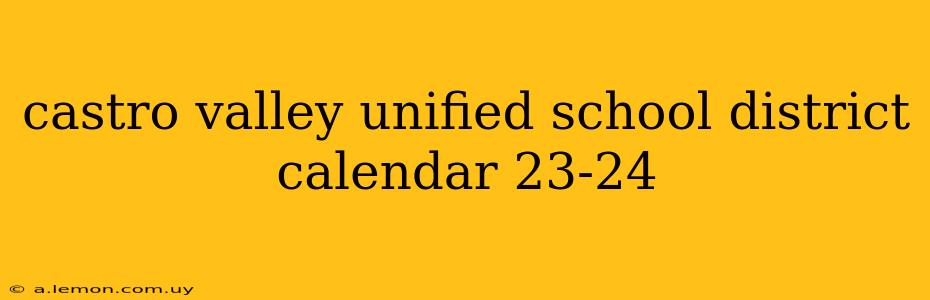 castro valley unified school district calendar 23-24