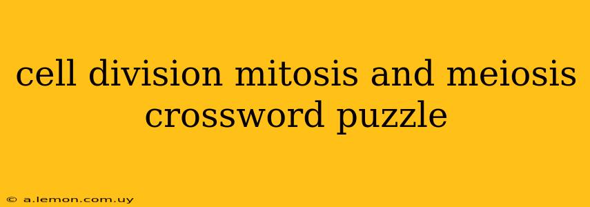 cell division mitosis and meiosis crossword puzzle