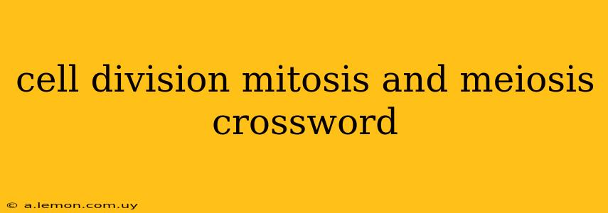 cell division mitosis and meiosis crossword