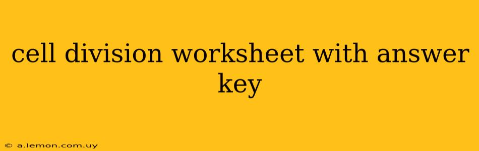 cell division worksheet with answer key