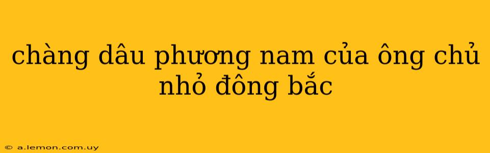 chàng dâu phương nam của ông chủ nhỏ đông bắc