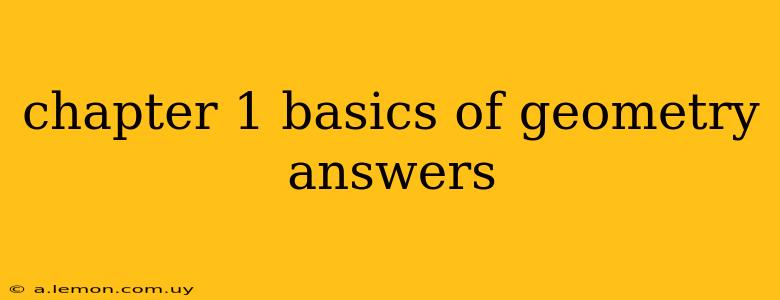 chapter 1 basics of geometry answers