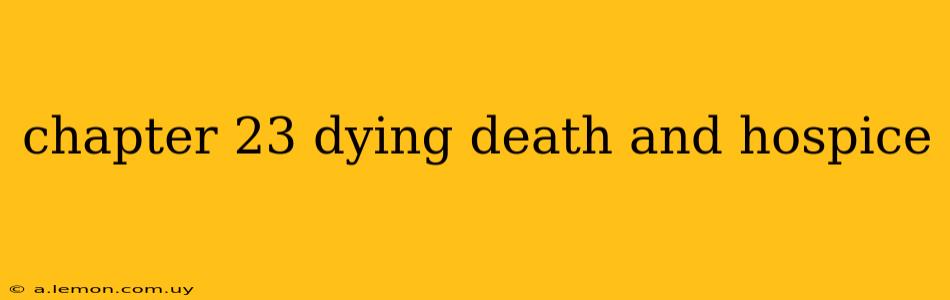 chapter 23 dying death and hospice