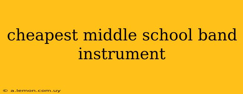 cheapest middle school band instrument