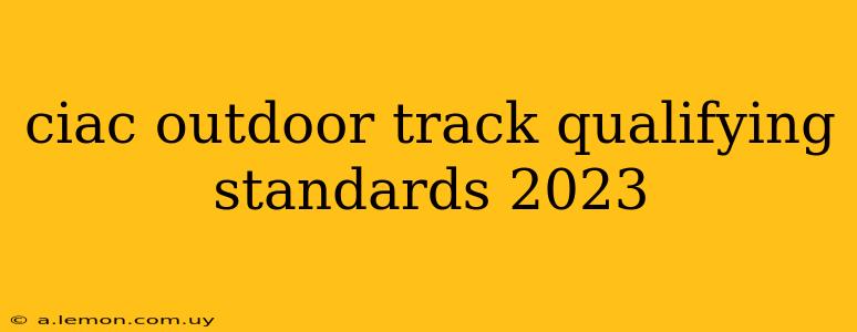 ciac outdoor track qualifying standards 2023