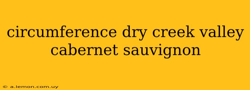 circumference dry creek valley cabernet sauvignon