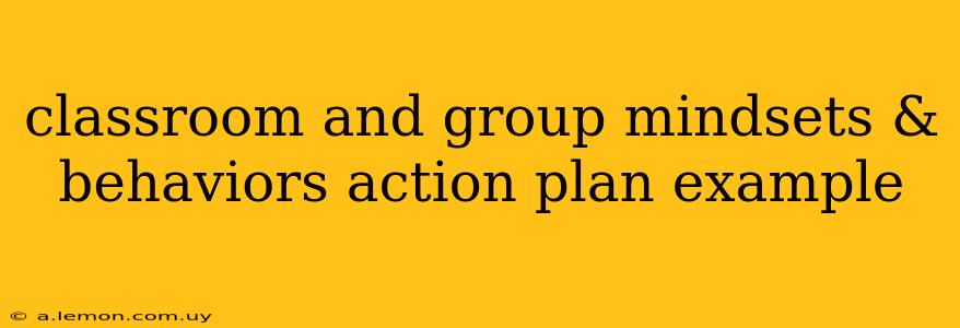 classroom and group mindsets & behaviors action plan example