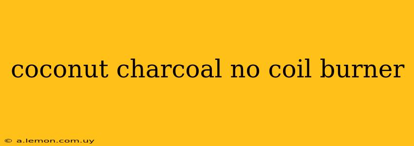 coconut charcoal no coil burner